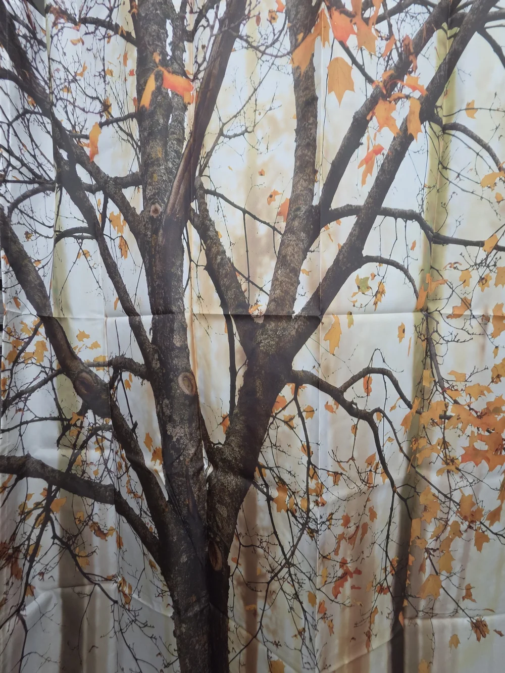 Nwot Autumn Tree Shower Curtain with Orange Leaves
